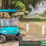 2021 Icon I20 Golf Cart