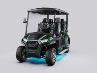 Aries-EV-Signature-Series-2wd-Evergreen--att12863.jpg