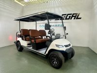 2025-Advanced-EV-Advent-6N-White-Lithium-Golf-Cart-4.jpg