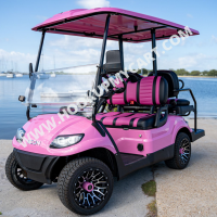 2023_ICON_I40_Pink_Custom_Golf_Cart_Electric_Vehicle_CzJNGCpenqdd_overlay_1689707845.png