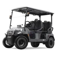 EPIC-E40FX-Golf-Cart-Charcoal_--att13203.jpg