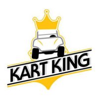 logo_thekartking.jpg