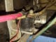 Symptoms of a bad solenoid on a golf cart